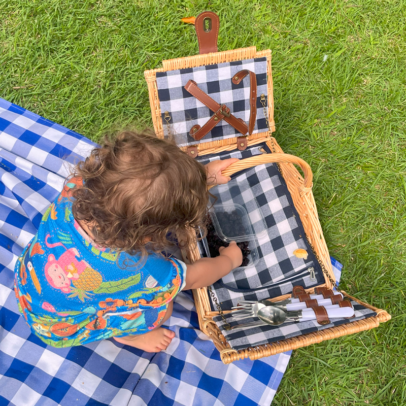 CESTO DE PIQUENIQUE XADREZ MARINHO