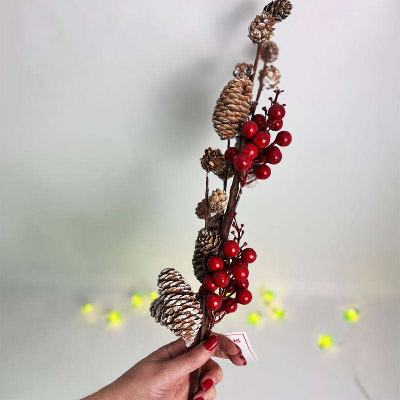 GALHO FRUTAS E PINHAS