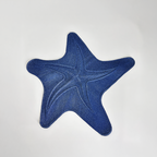 LUGAR AMERICANO NATURE ESTRELA DO MAR